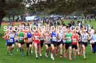 Senior Mens relay, 2025 Northern Cross Country Relays, Graves Park, Sheffield. Photo: David T. Hewitson/Sports for All Pics